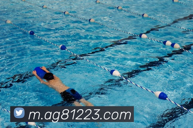 互动解说服务